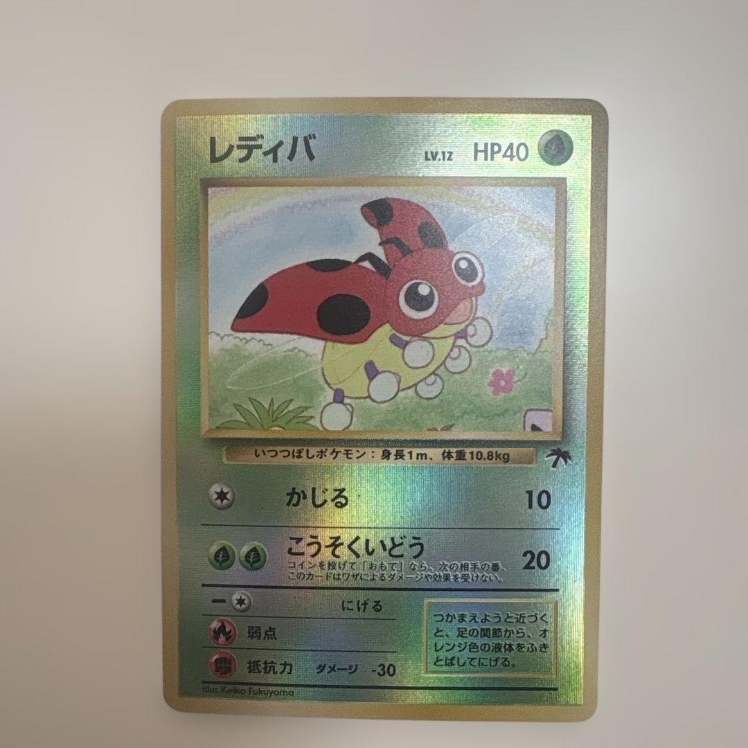 サザンアイランド　お花畑　旧裏ポケモンカード　ポストカードなし