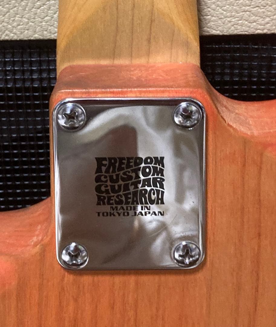 ギター Michael Landau Coma Strat Tribte Custom