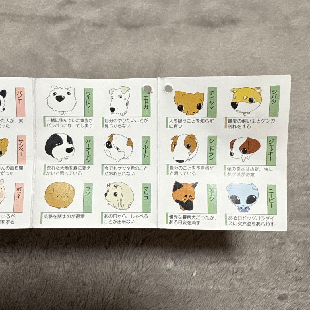 ふぉうちゅんドッグす ぬいぐるみ 犬 BIG 非売品 ラブリー キャミー