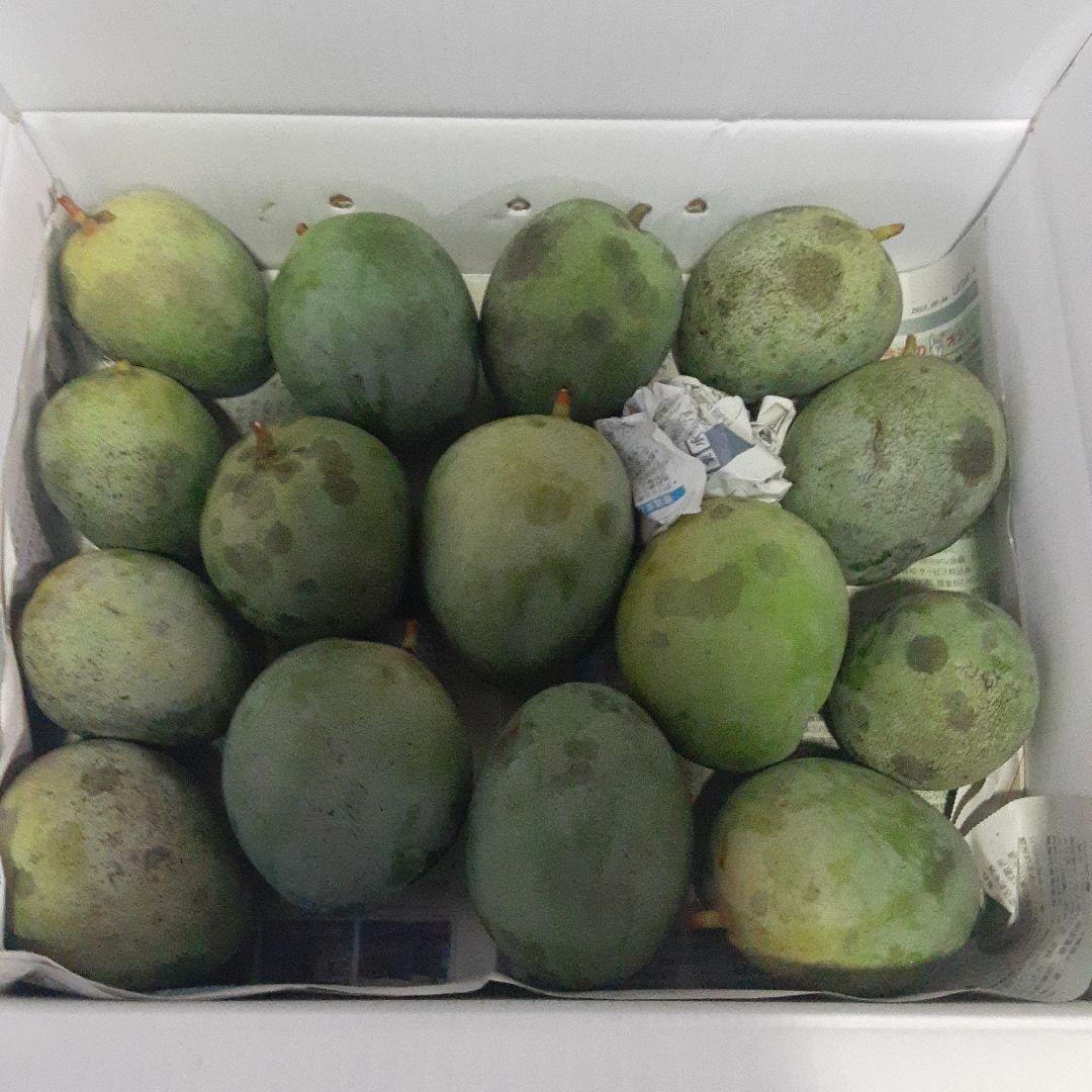 沖縄県産♪キーツマンゴー6㎏③