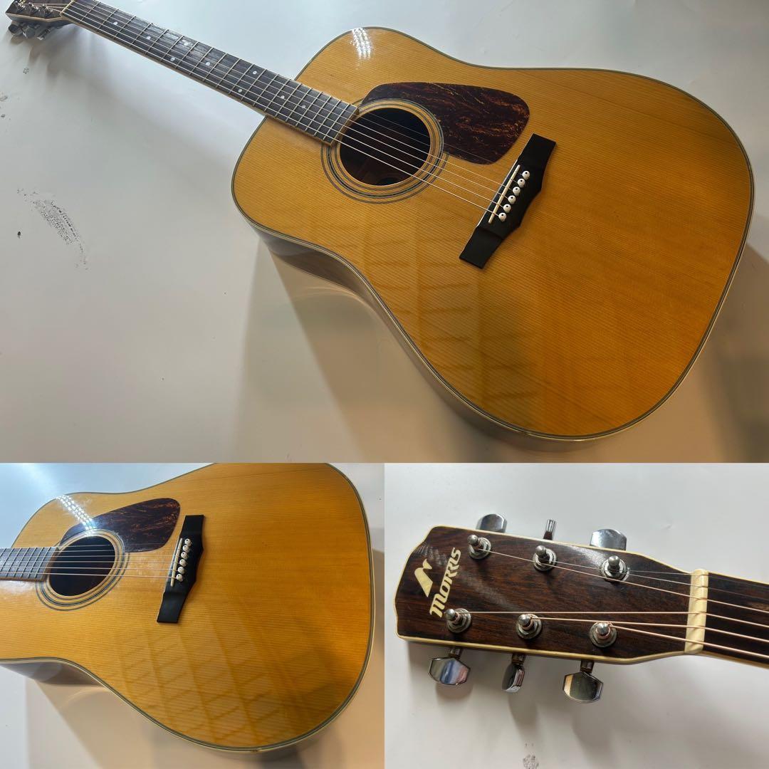 Morris m-501 アコースティックギター