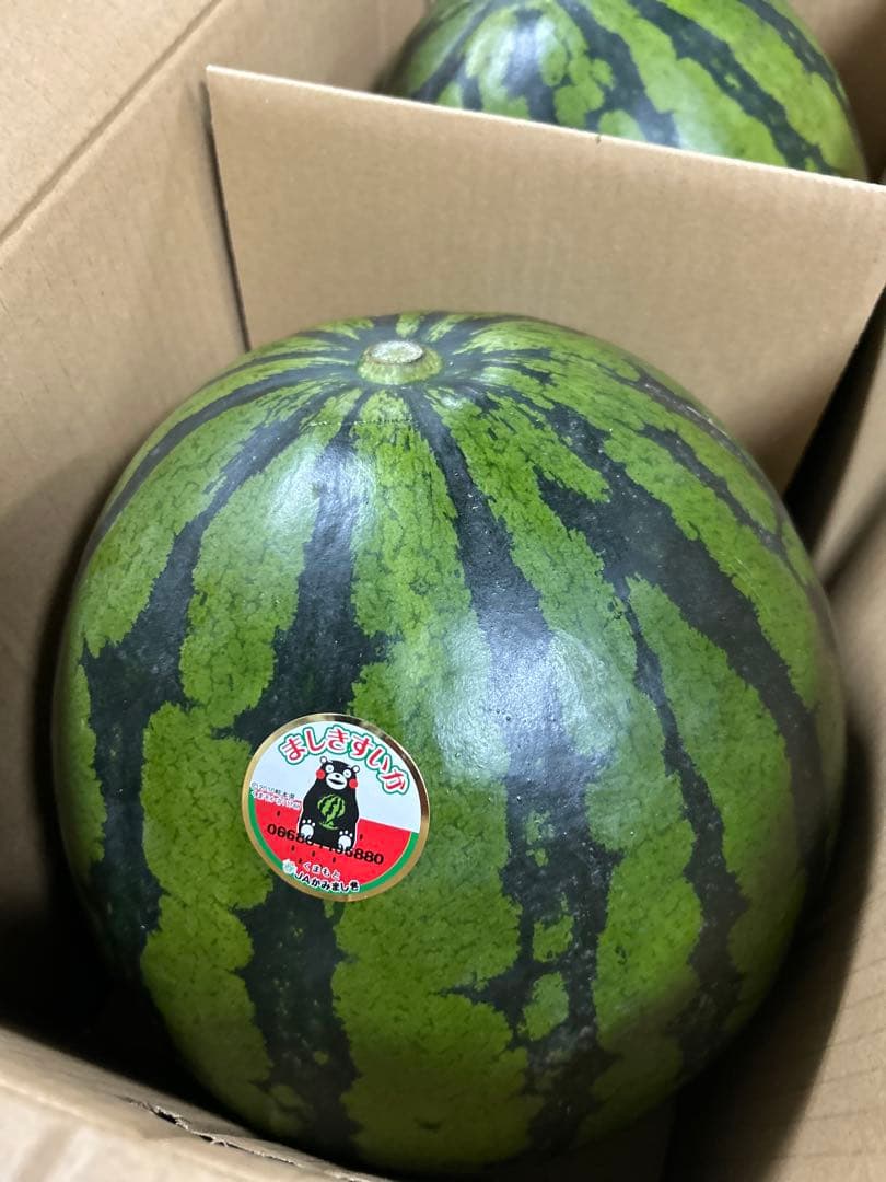 熊本県スイカ3Lサイズ2玉入り　約19kg