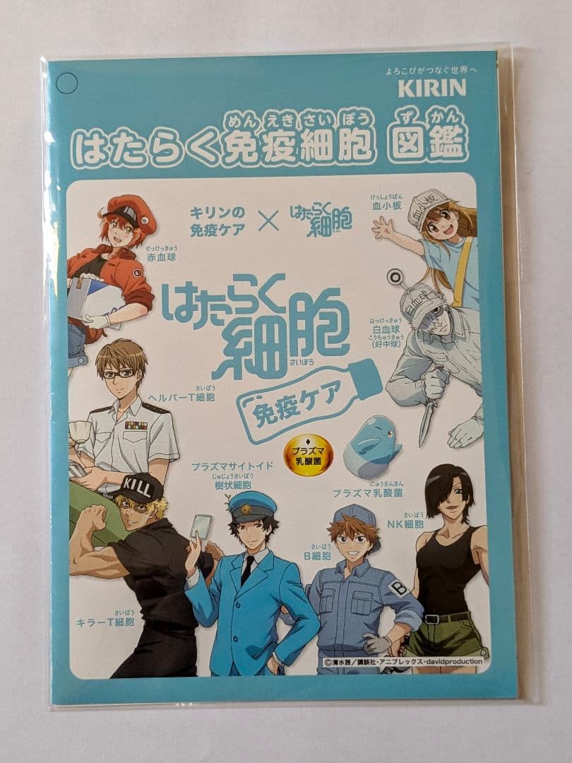 キリン はたらく細胞 缶（当選品）A賞【非売品】