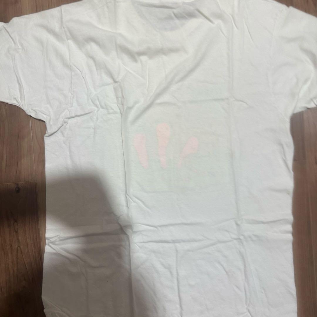 激レアBUMP藤原氏着用Vintage meat puppets TShirt