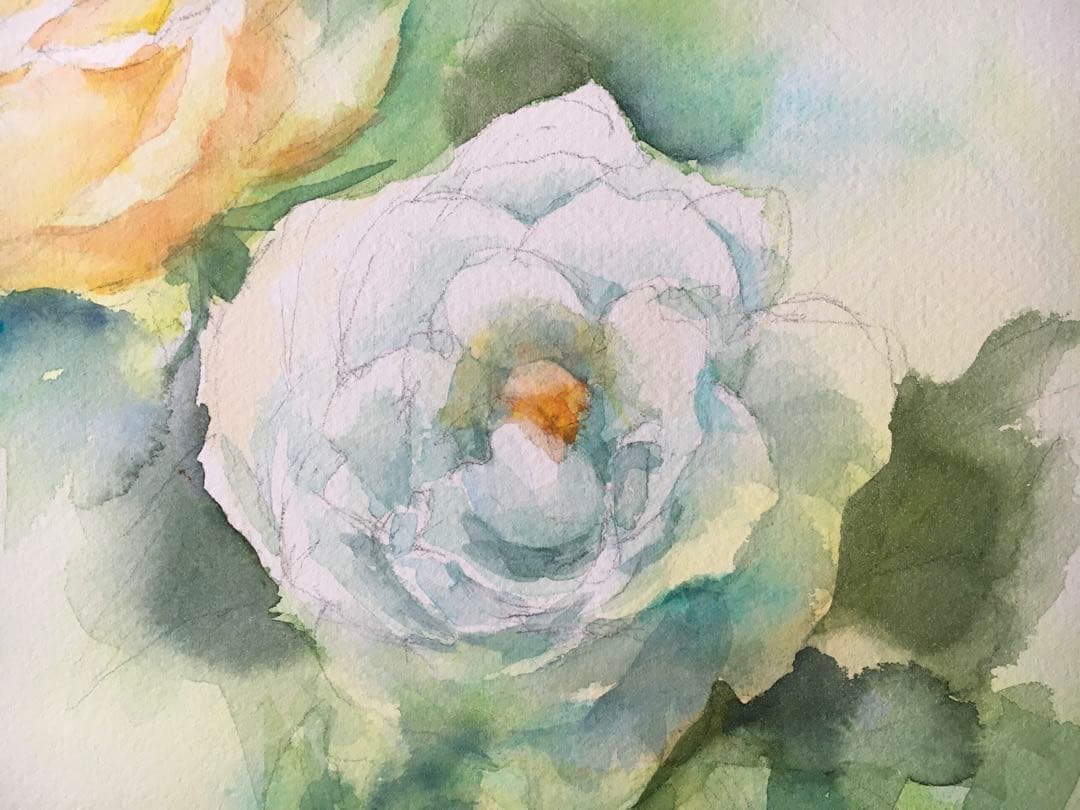 透明水彩画原画白薔薇ホワイトクリスマス⑦