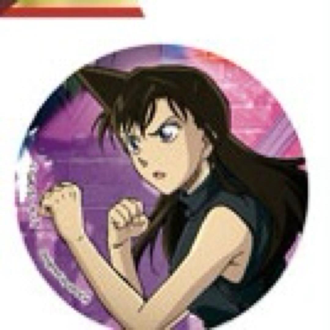 名探偵コナン　緋色の真実　ジグソーパズル　500ピース