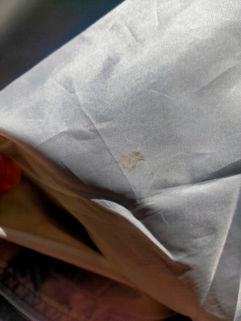 プロフ必読！大きいテント！Coleman Montana Tent