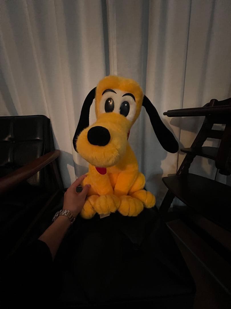 サンアンドスター　プルート