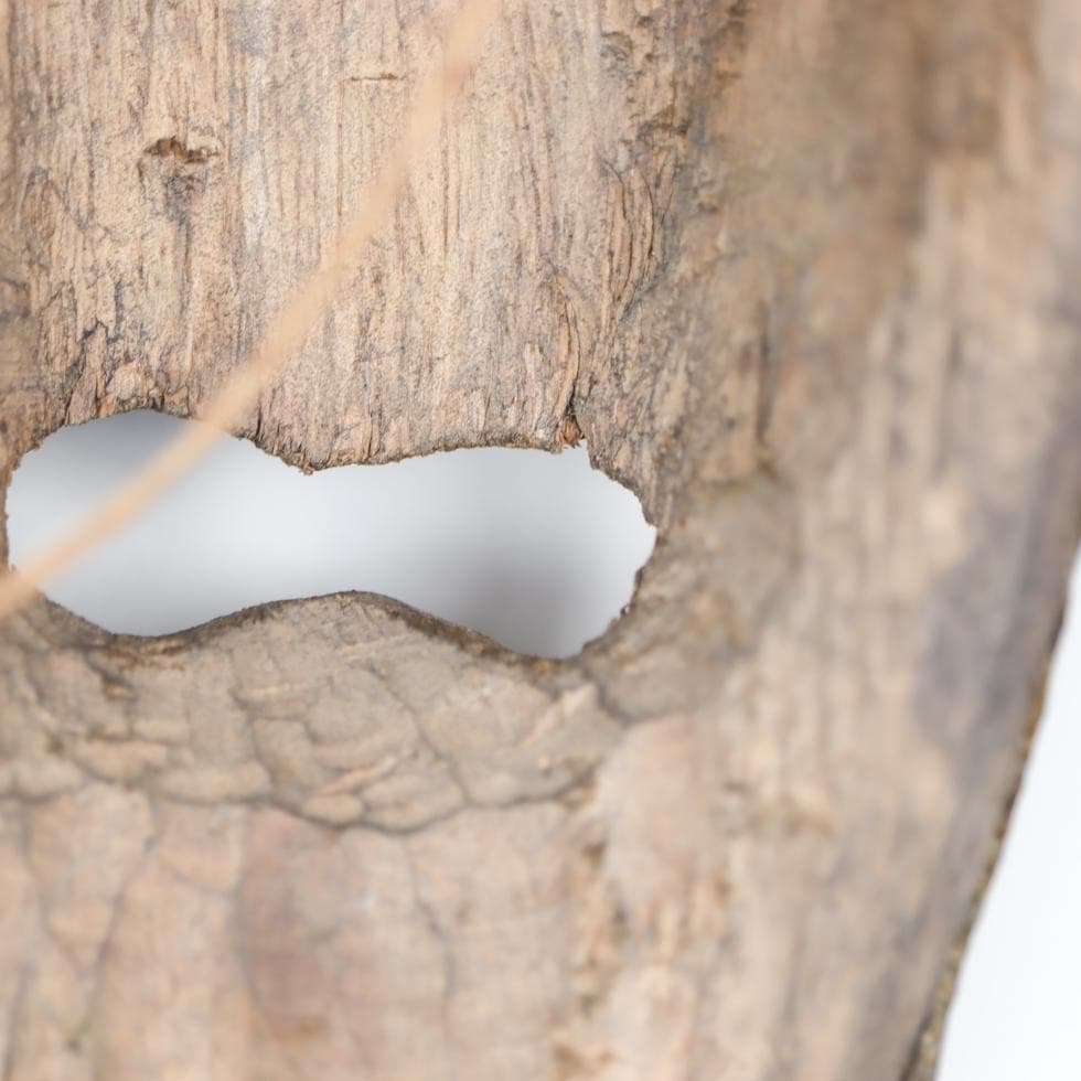 コンゴ民主共和国 レガ族 儀礼仮面／長面 付属装飾