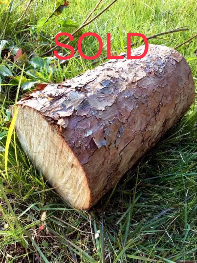 【販売済み】天然赤松/切り株/丸太/原木/薪割り台/椅子/彫刻やDIYなどにも！