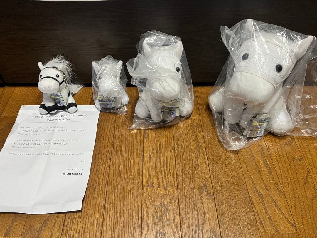 アイドルホース　ソダシ