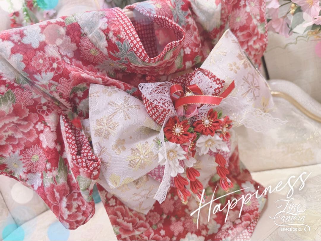 B419.pon2pan2☆オーダー☆犬着物☆犬2ウェイ着物☆犬お引き摺り着物