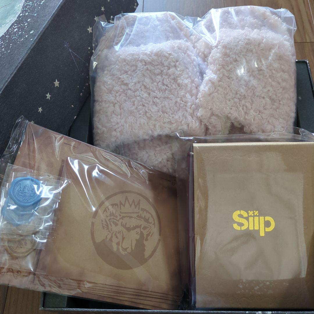 Siip　ガイア　グッズ3点セット（外箱付き）ダウンロードカードなし　スリッパ