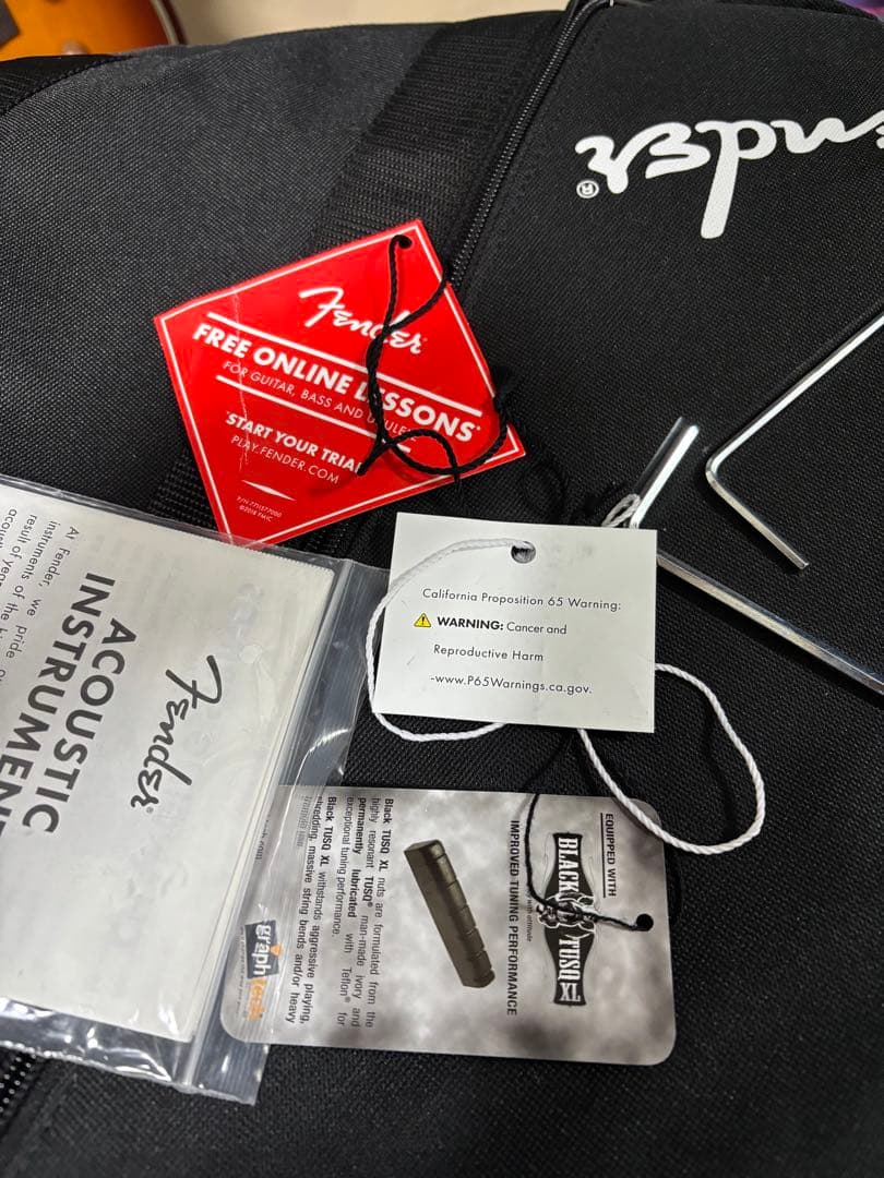 ギター Fender/Acoustasonic Standard