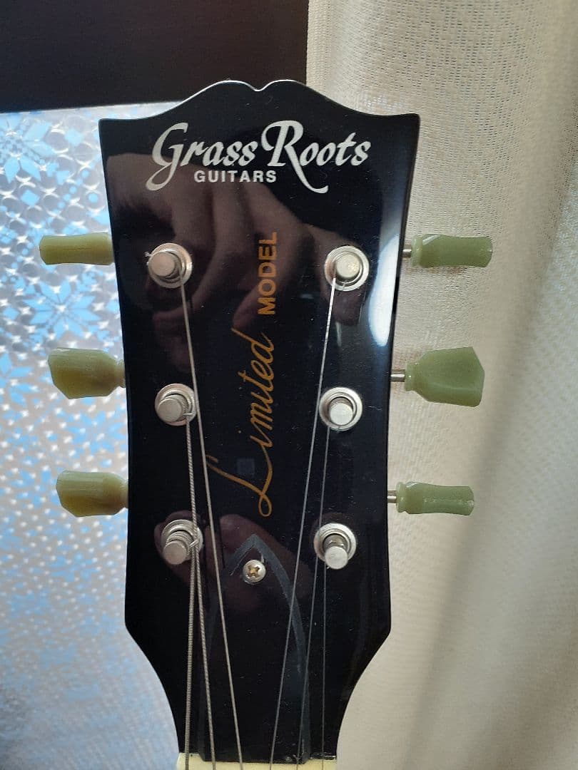 Grass Roots LimitedModel エレキギター(他写真に付属品)