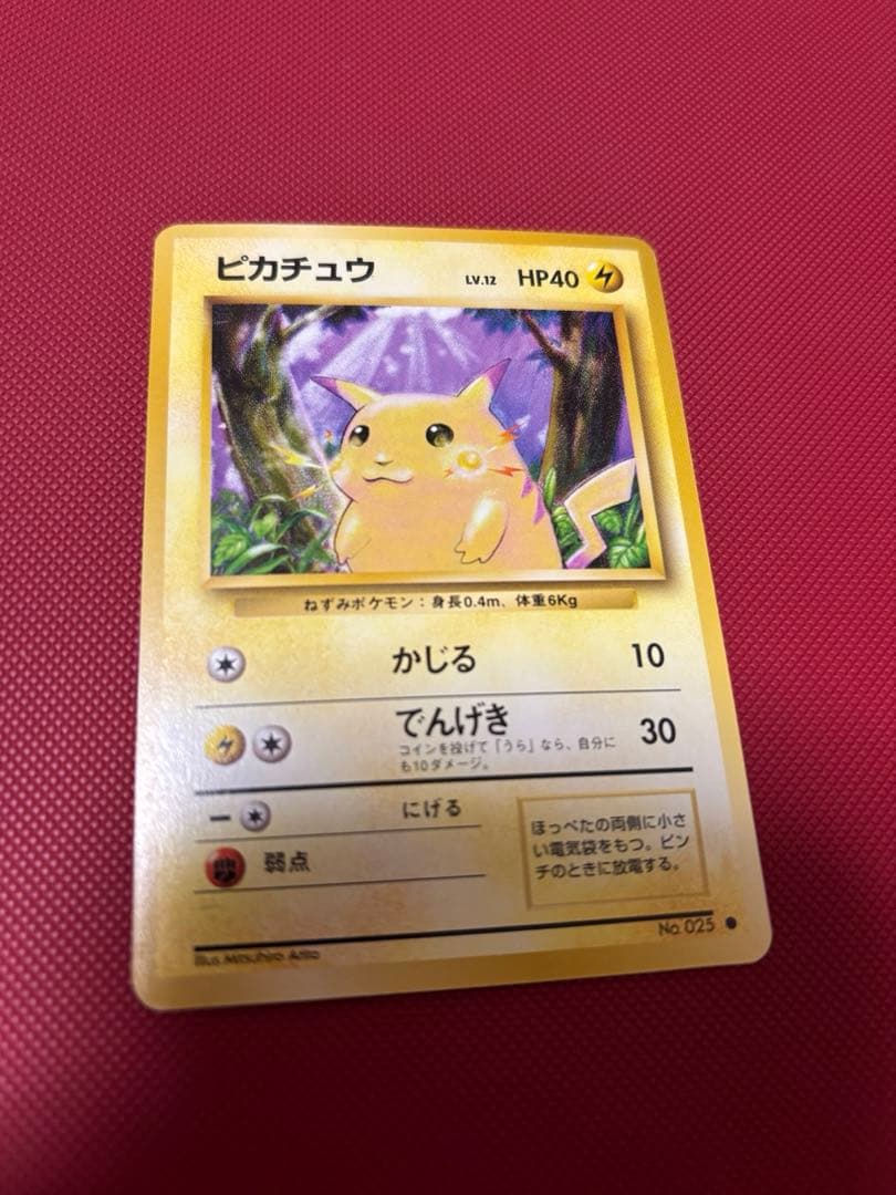 旧裏　ピカチュウ かじる　希少