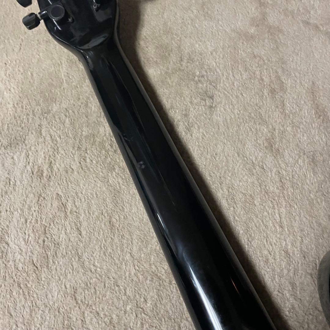 EDWARDS ES-110PRⅢ SUGIZOモデル LUNA SEA