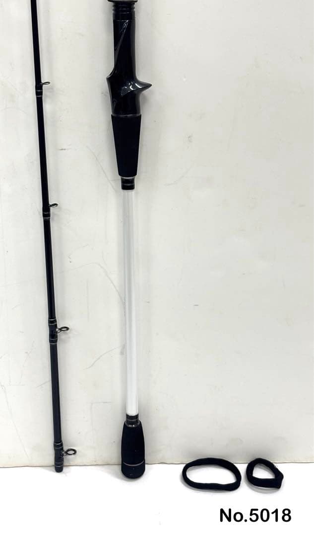 No.5018 タチウオ 200