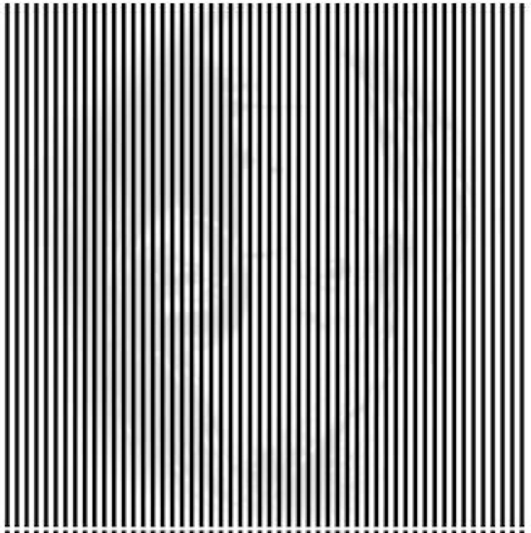 専用デュオソニック