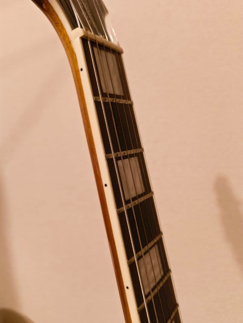 ギター Epiphone Les Paul Custom Pro koa