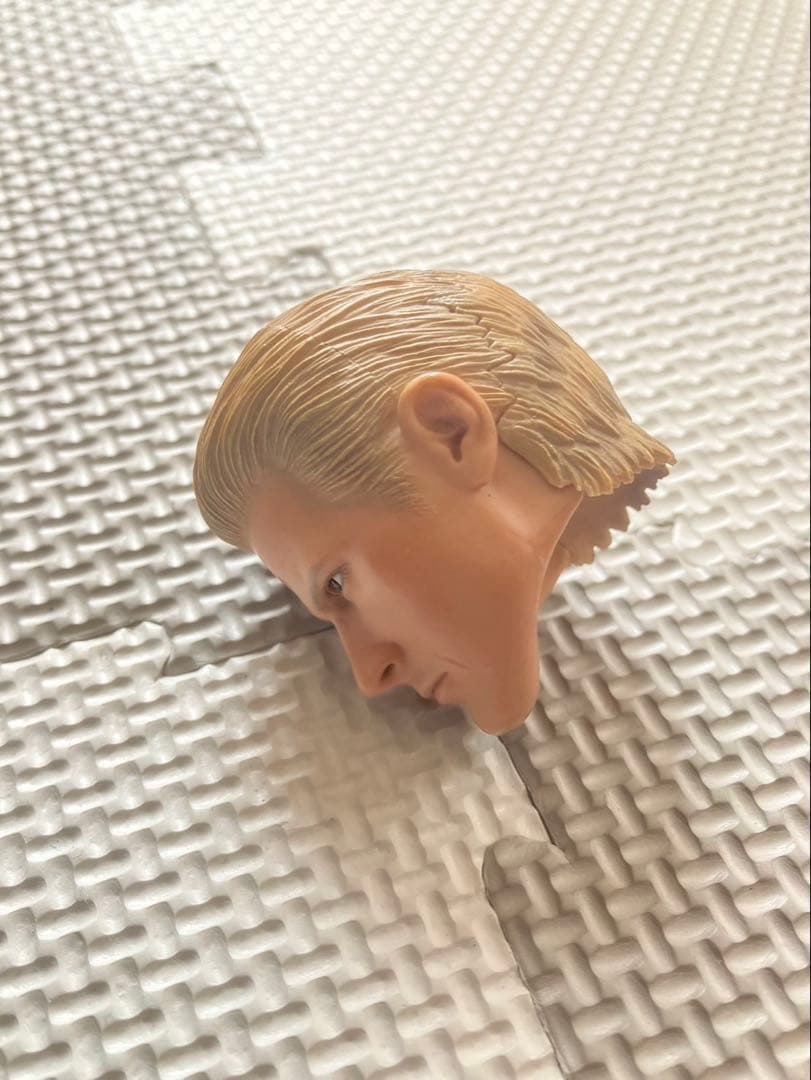 1/6 ホットトイズ　ウェスカー　ヘッド　中古