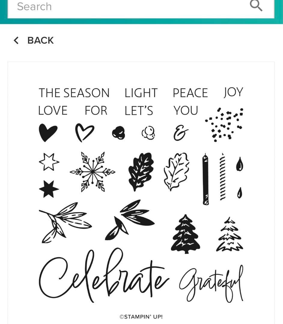 お値下げ　１点限り♡未使用　新作スタンピンアップ　一年中大活躍スタンプ&ダイ