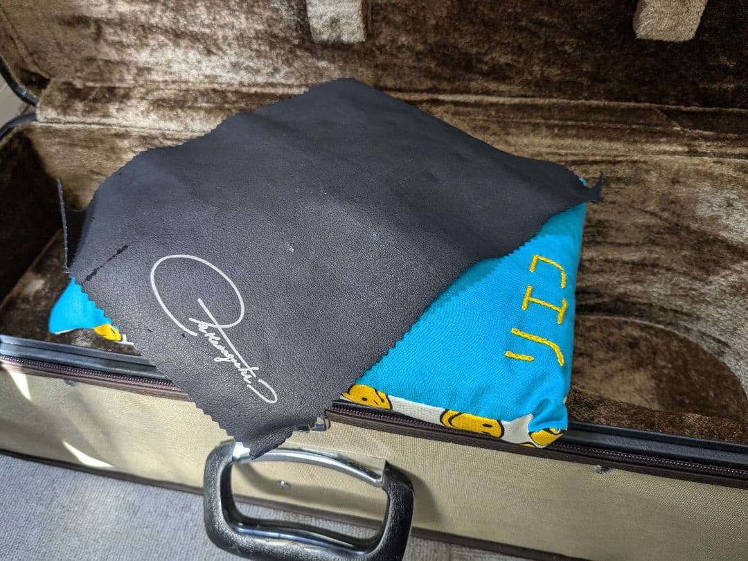 ラファエレ カラーチェ No.26 マンドリン SuperLight ケース付き