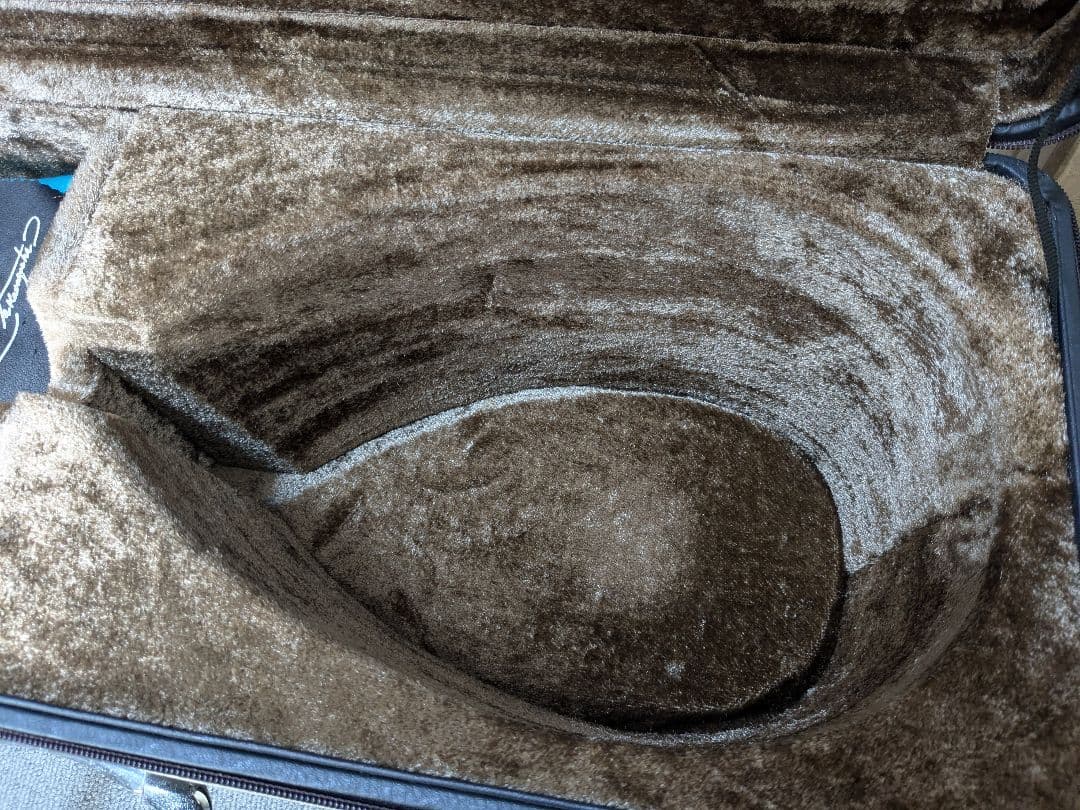 ラファエレ カラーチェ No.26 マンドリン SuperLight ケース付き