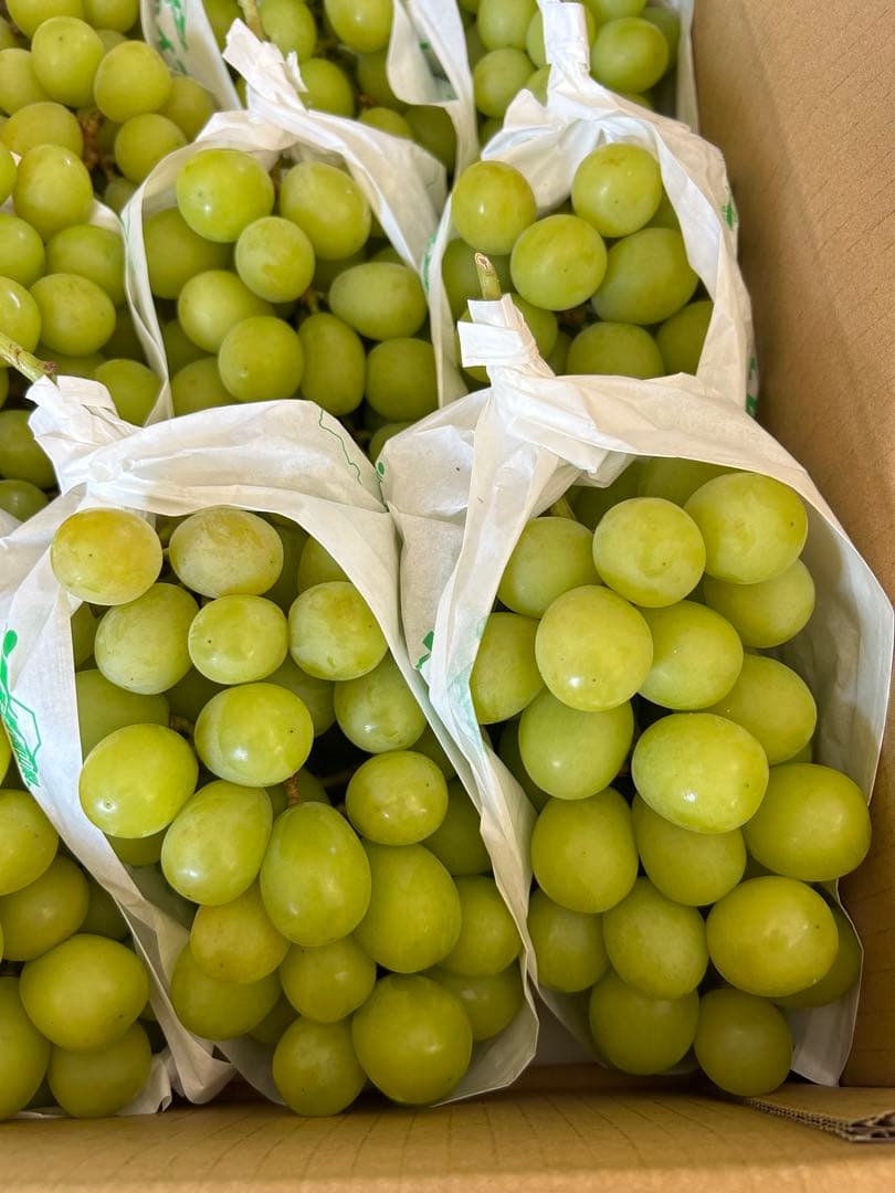 5-7 山梨県産　ぶどう　シャインマスカット 正味5キロ　家庭用 そろそろ終わり