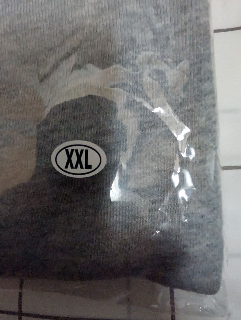 Hi-STANDARD　Diskah ZIP HOODIE (GRAY) XXL