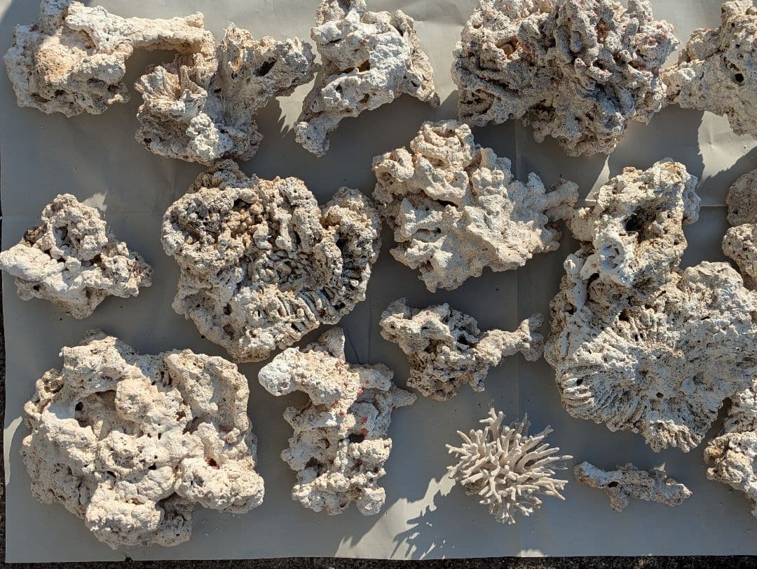 ライブロック　サンゴ　　テスロック　約6kg ①