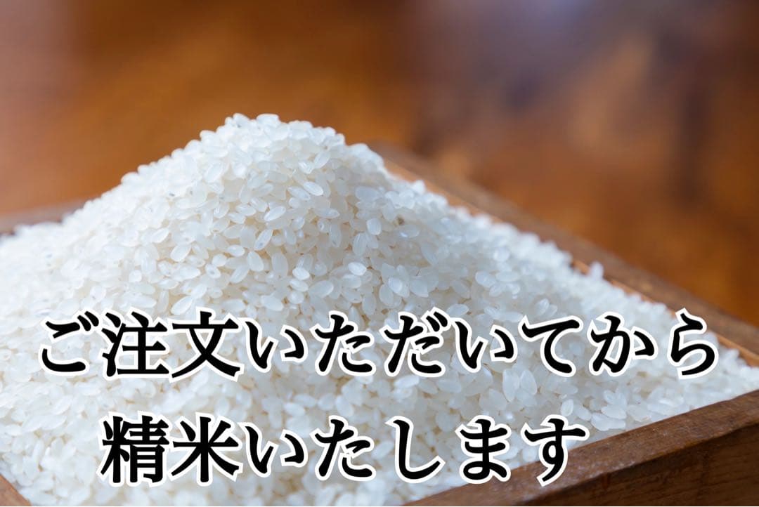 つや姫　10kg 令和7年　山形　特別栽培米