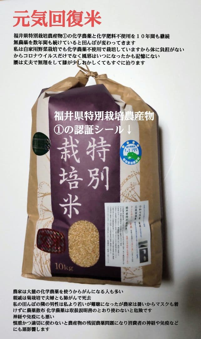 神経と免疫を大切にする農家 ７年産コシヒカリ 発芽用玄米10kg化学農薬不使用