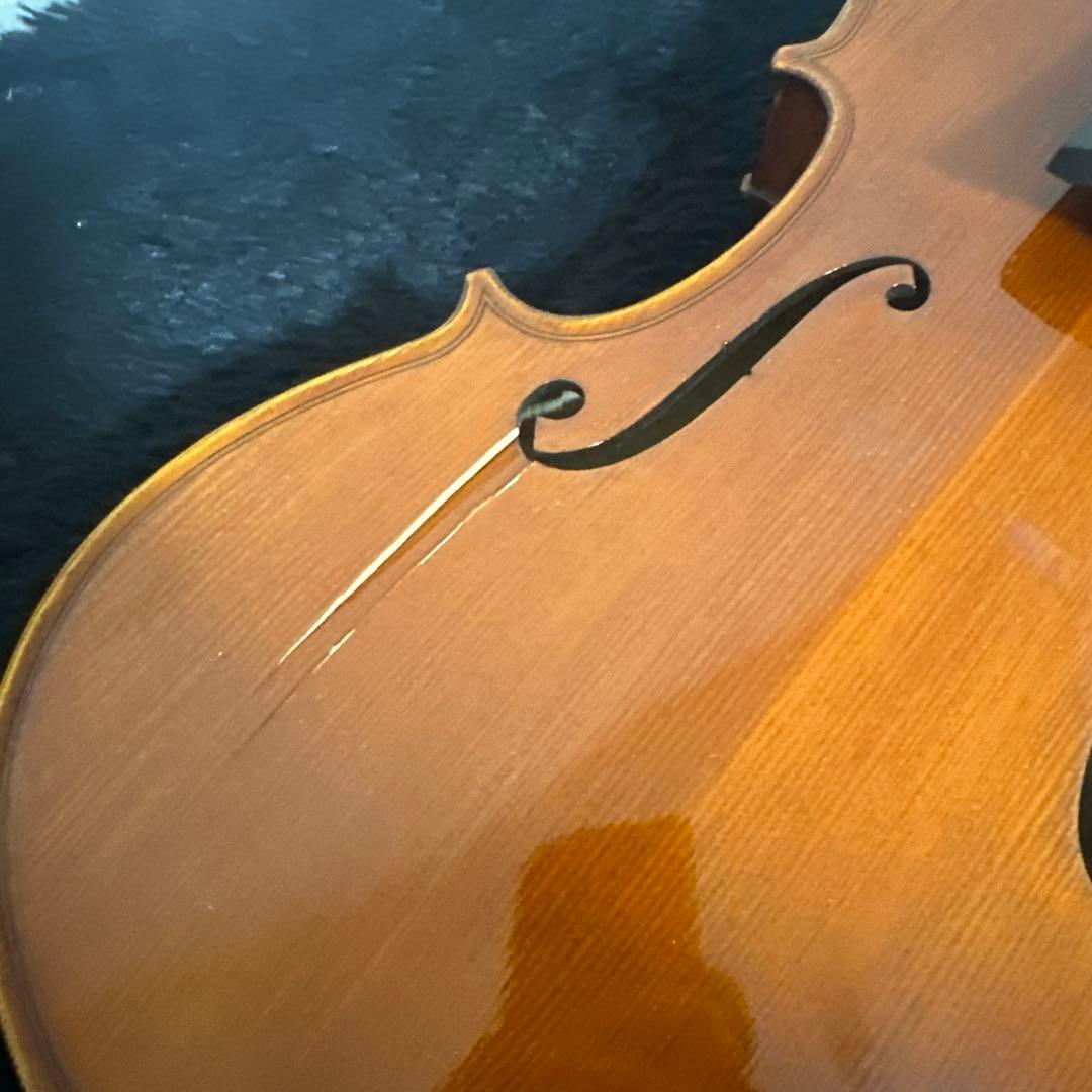 Gliga Vasile ビオラ 抜け殻 弦楽器 虎杢 67cm 本体 木目