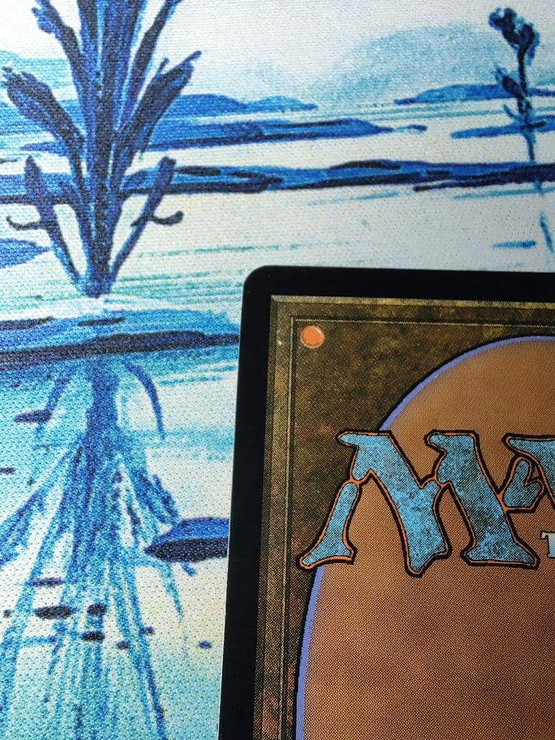 荒廃のドラゴン、スキジリクス　日本語版foil　SOM MTG