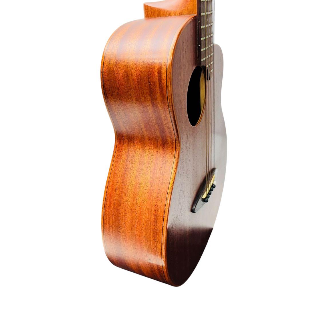 aNueNue aNN-M2 BirdGuitar ミニアコースティックギター