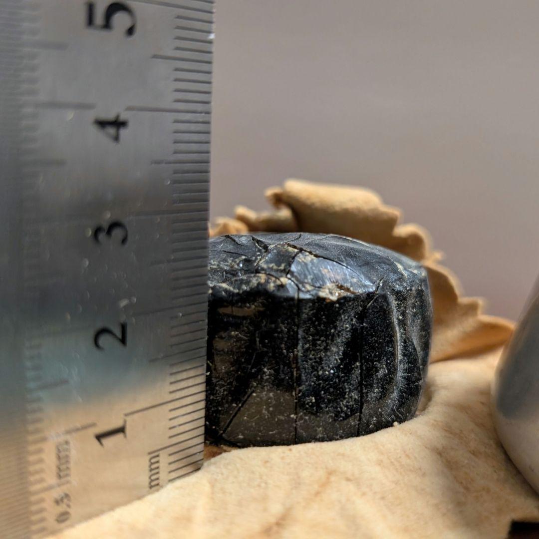 【松脂】フランス製 ミラン Millant 猫缶 デッドストック ビンテージ