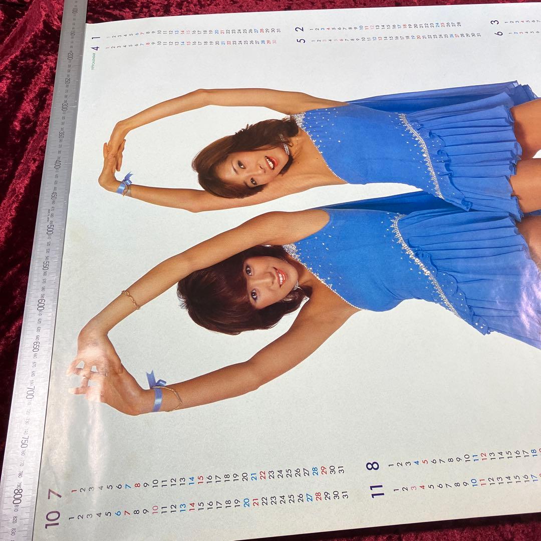 ピンクレディー　シャワラン ビューティ シャンプー & リンス ポスター