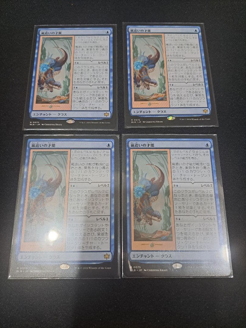 嵐追いの才能 日本語4枚