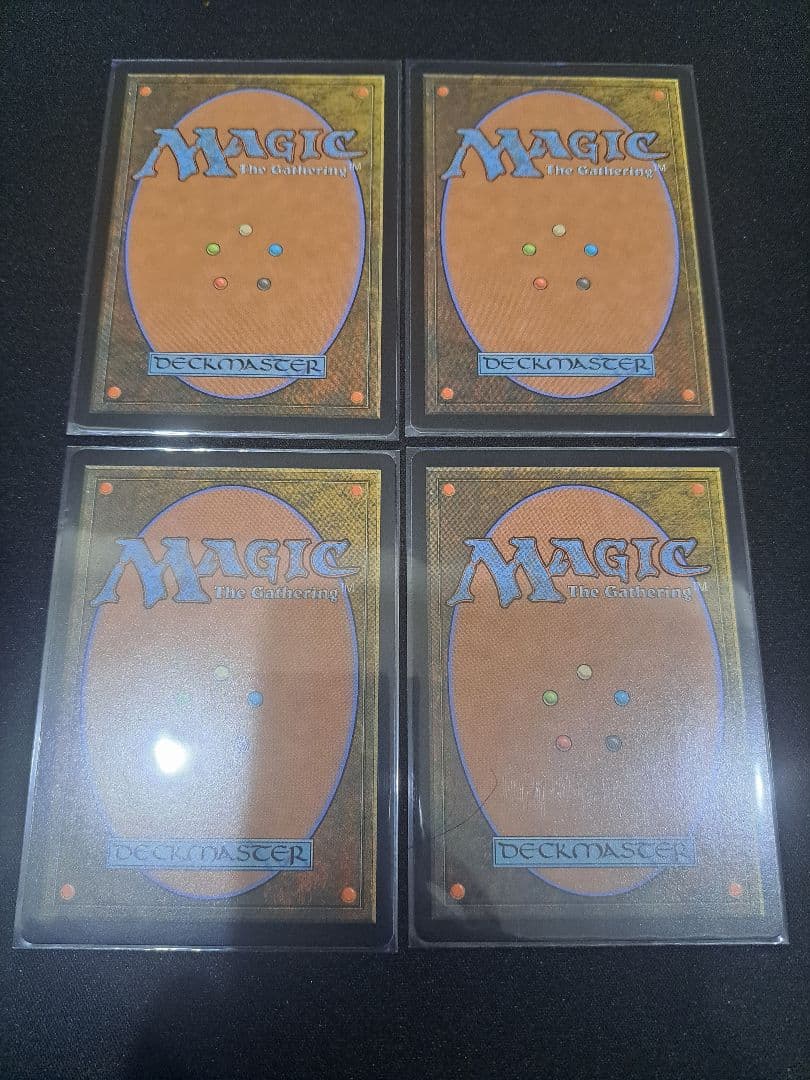 嵐追いの才能 日本語4枚