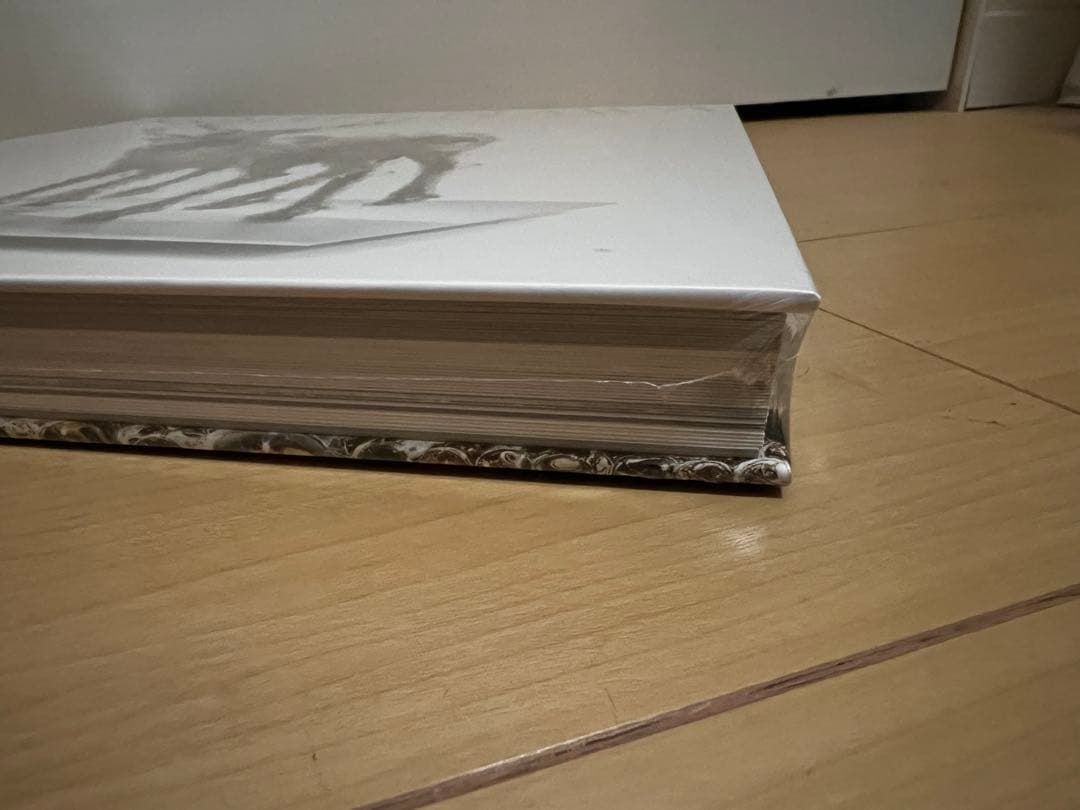 【希少！】完全未開封【名和晃平 シンセシス SYNTHESIS】