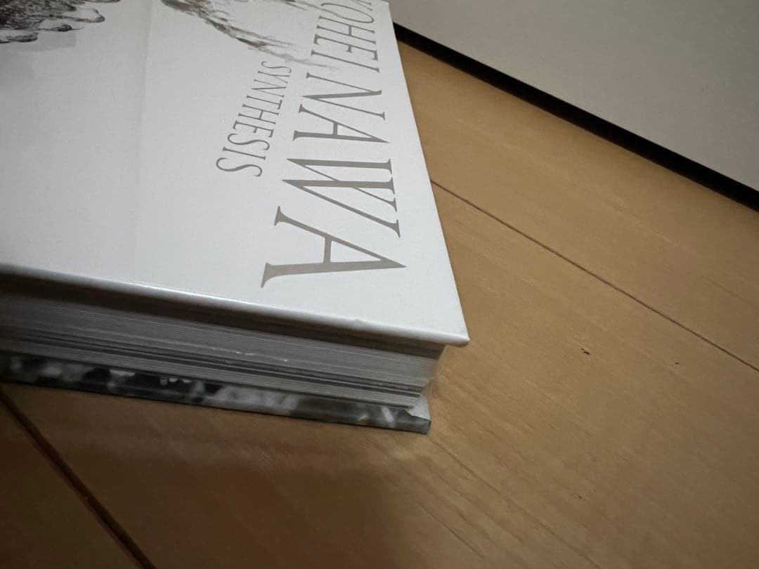 【希少！】完全未開封【名和晃平 シンセシス SYNTHESIS】