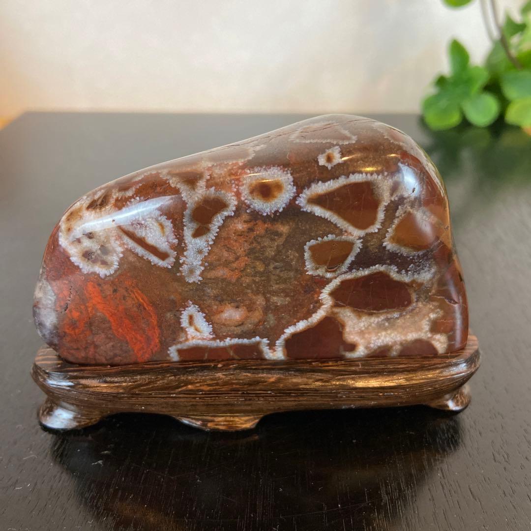 菊花石　★鑑賞石　美石　水石　盆栽