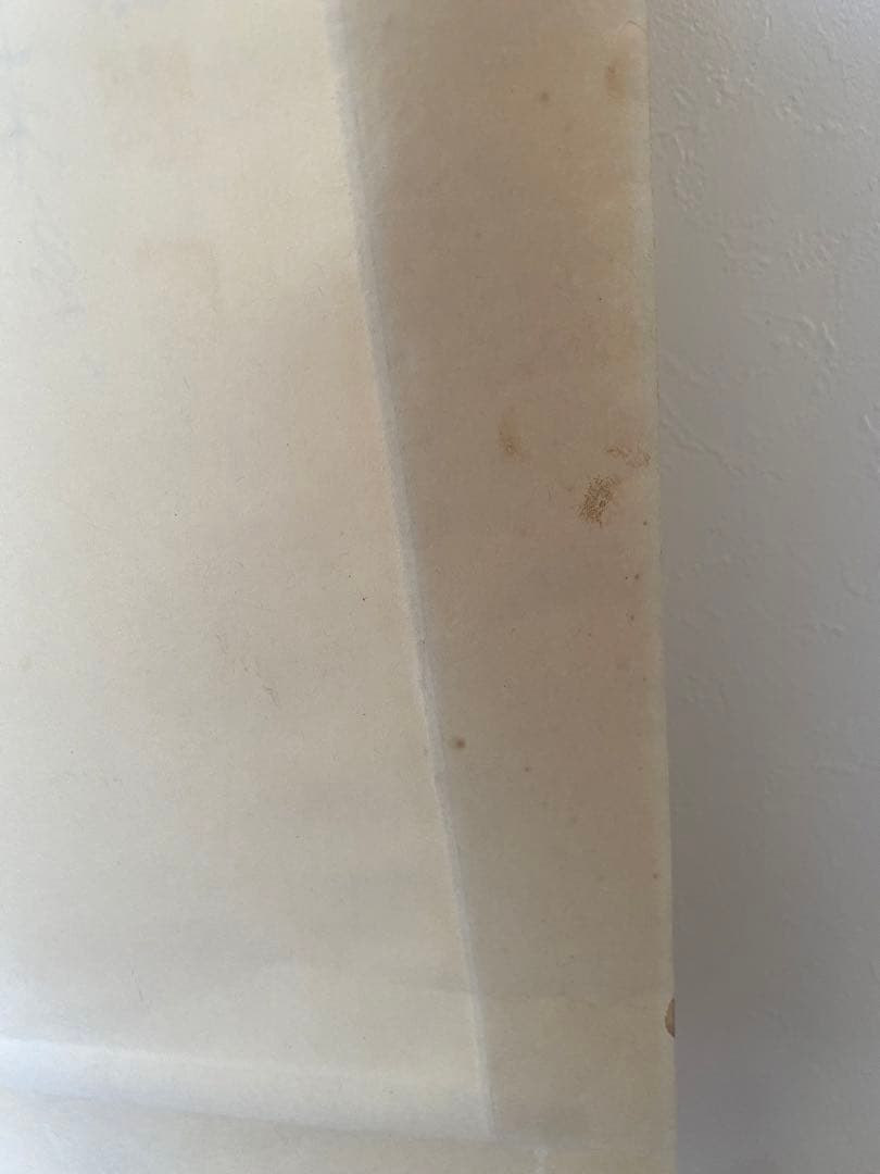 中国絵画　竹と小鳥の水墨画　掛軸　中国掛軸