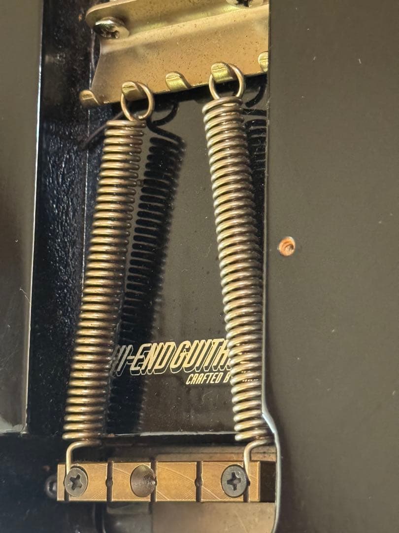 MUSICMANAXIS EX HI-END GUITAR 朝日木工 神田商会