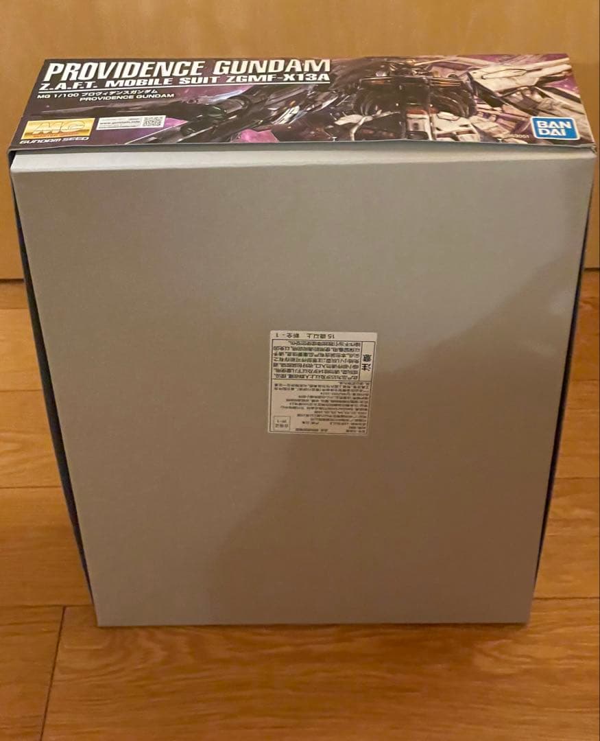 は*せ様 バンダイ MG 1/100 プロヴィデンスガンダム