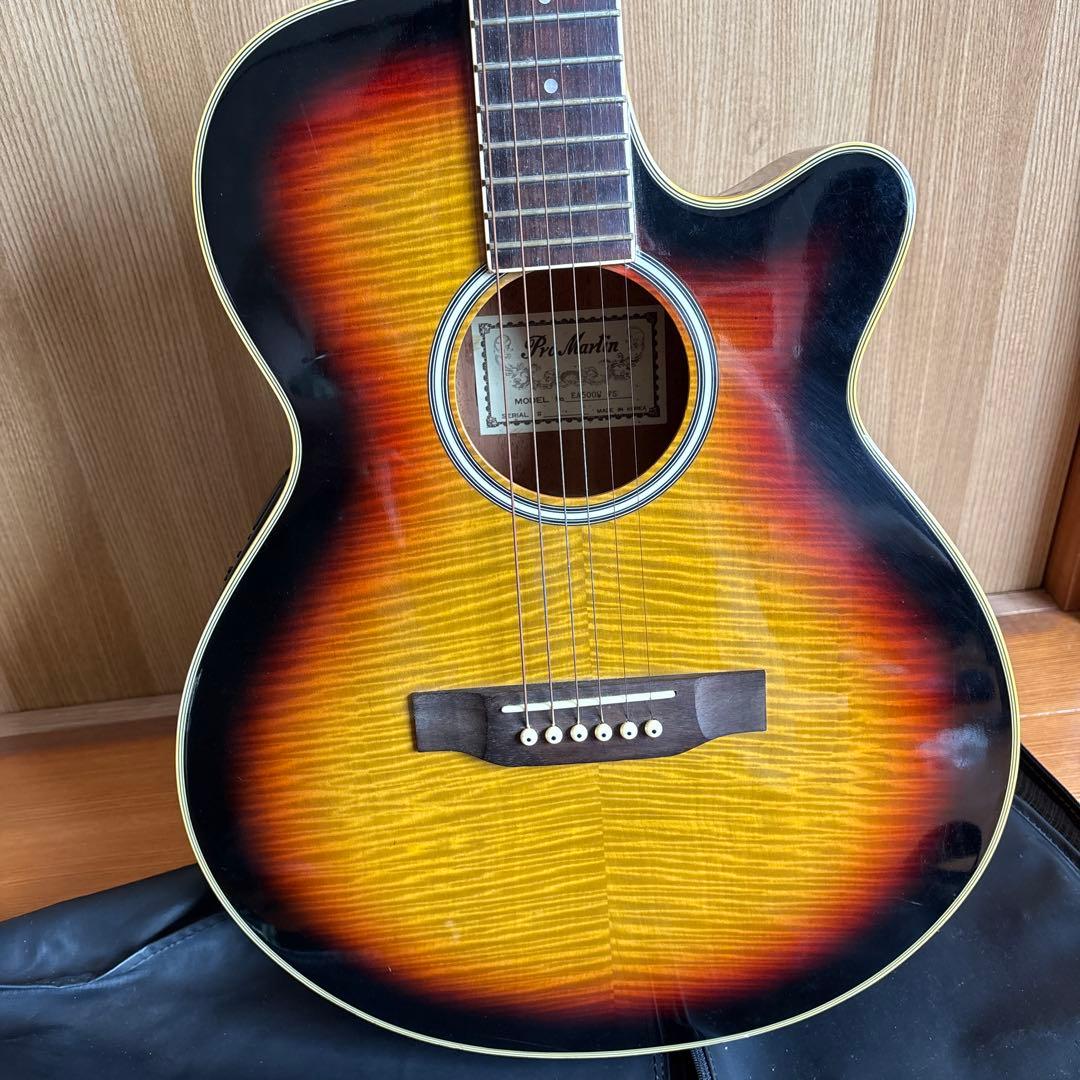 エレクトリック・アコースティックギター　Pro Martin EA500W VS