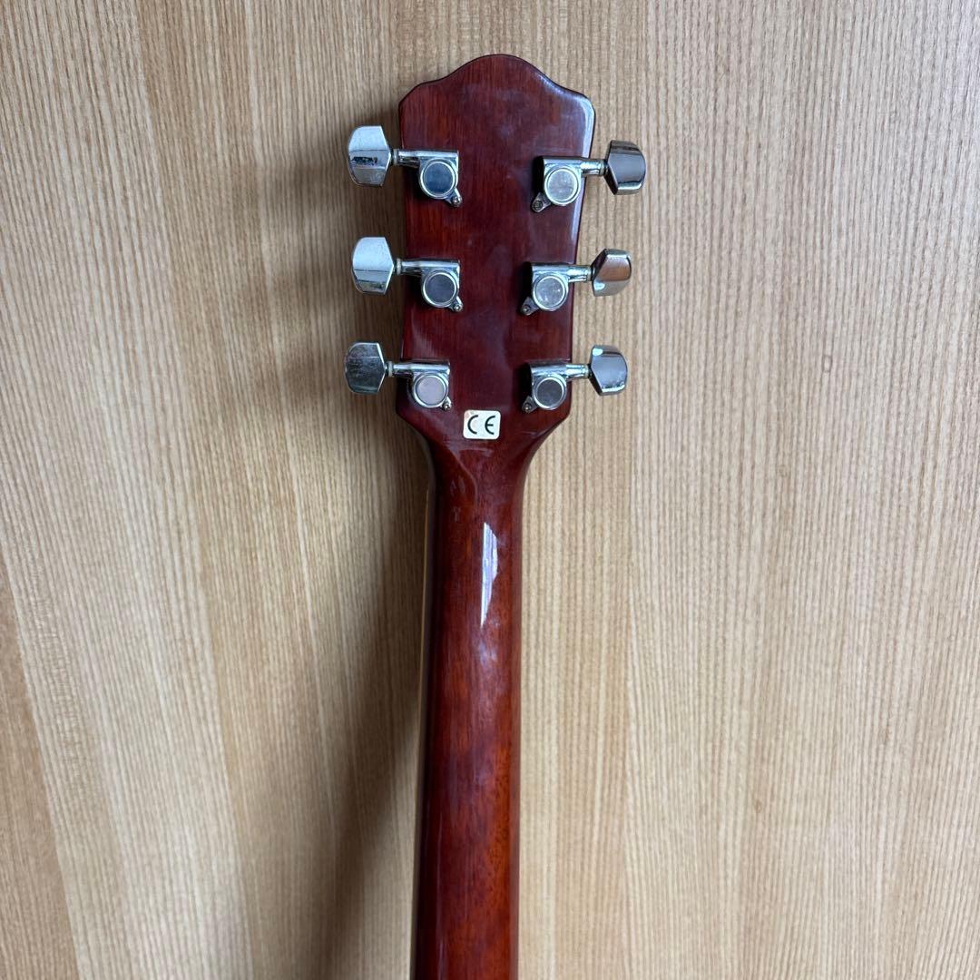 エレクトリック・アコースティックギター　Pro Martin EA500W VS