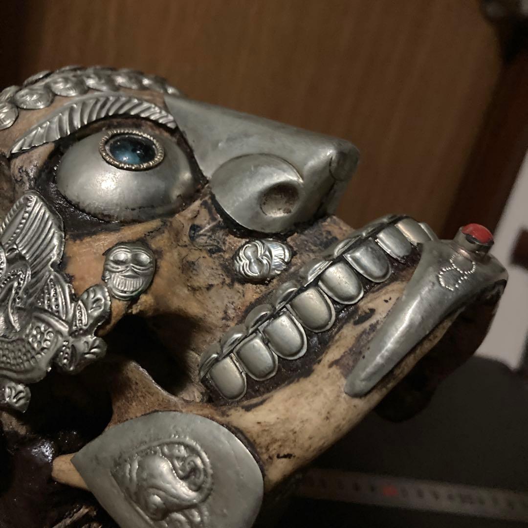 チベタンスカル　頭蓋骨