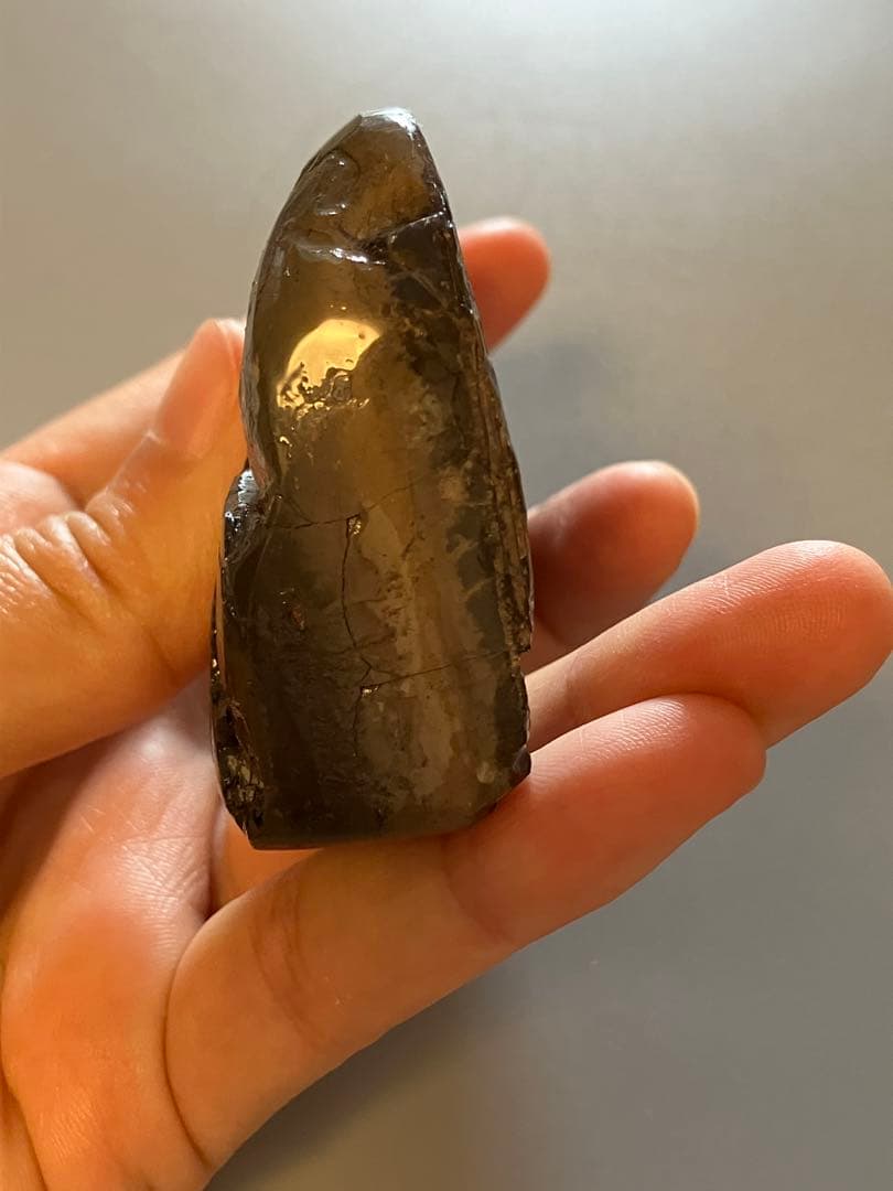 カナダ産　アンモライト　化石　原石　幅8.5cm 箱付き